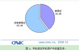 中國(guó)互聯(lián)網(wǎng)絡(luò)信息中心（CNNIC）在計(jì)算機(jī)軟硬件技術(shù)研發(fā)中的戰(zhàn)略角色與創(chuàng)新實(shí)踐
